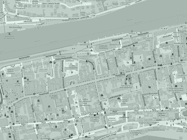 Stadtplan der Heidelberger Altstadt mit Markierung der Praxis in der Ziegelgasse 24
